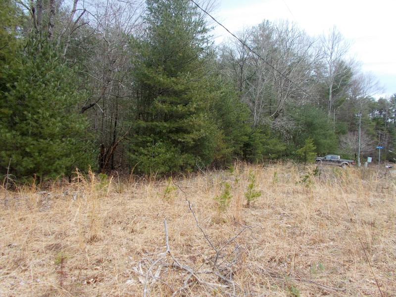 Land For Sale TBD Goospoint Road Stuart, VA