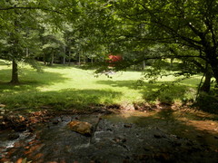 Rock Castle Creek with barn and pasture