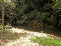 Rock Castle Creek