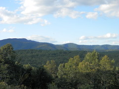 View from back deck