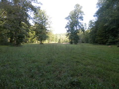 Lower field/pasture