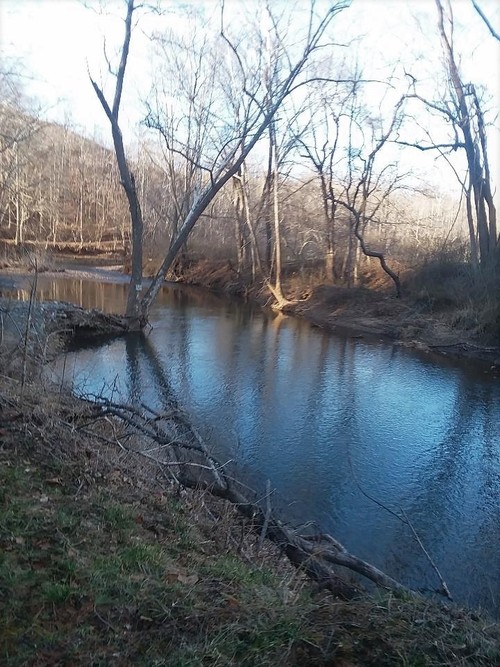5 Acres in  - TBD Trout Run - Woolwine, VA