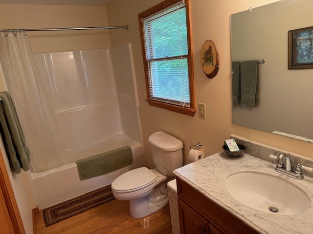 Additional Photo