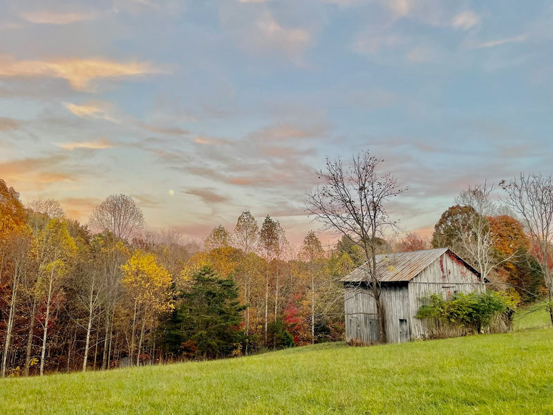 Additional Photo
